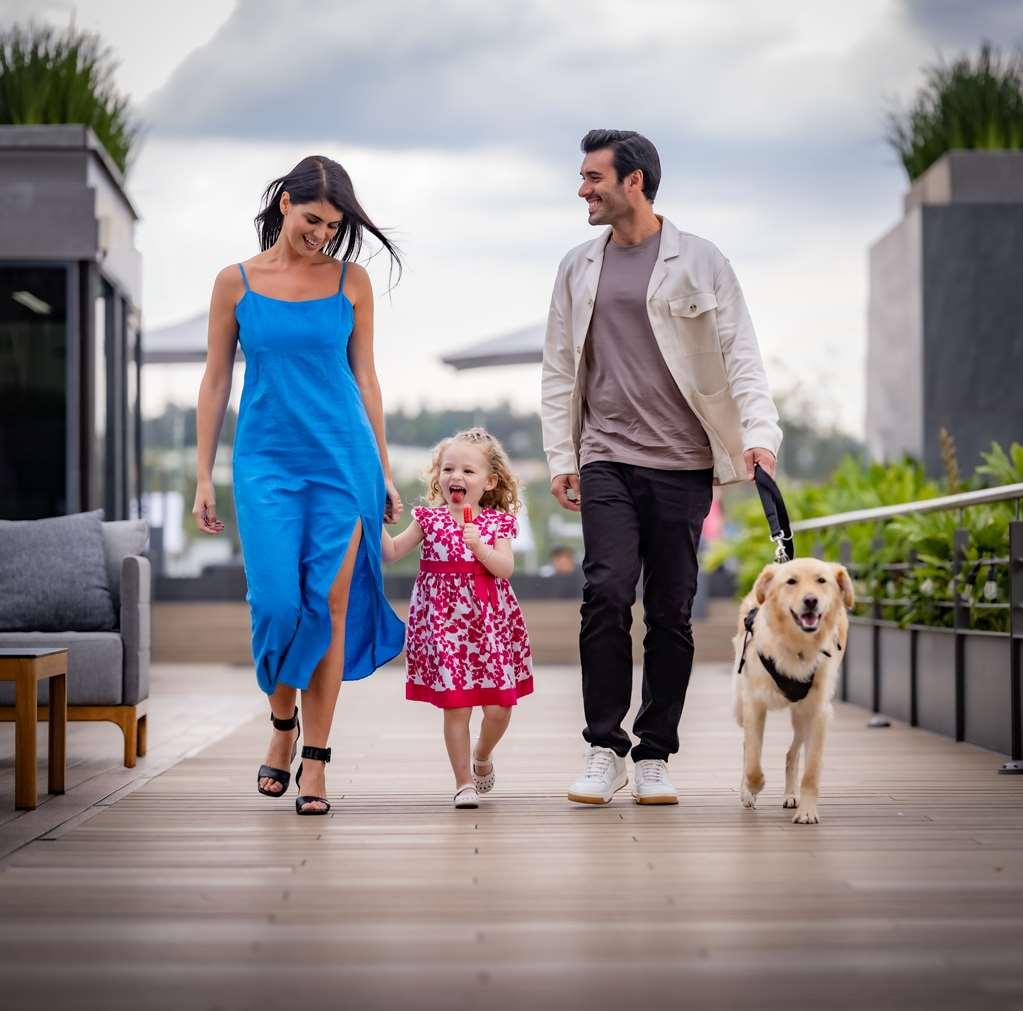 Hotel Galeria Plaza San Jeronimo Città del Messico Amenities foto A family with a dog