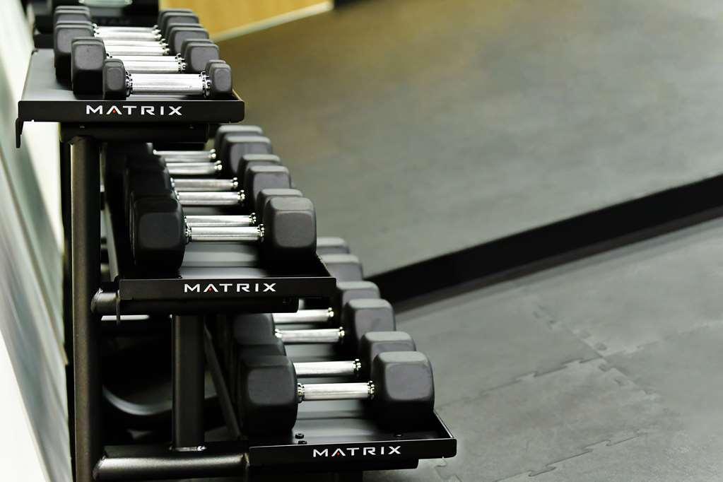 Hotel Galeria Plaza San Jeronimo Città del Messico Servizi foto Dumbbells