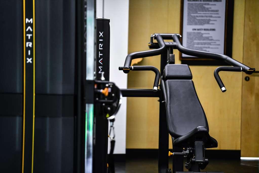 Hotel Galeria Plaza San Jeronimo Città del Messico Servizi foto A shoulder press machine